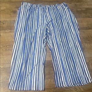 Elizabeth and Clark Blue and White Striped Women’s Pants Size 3X